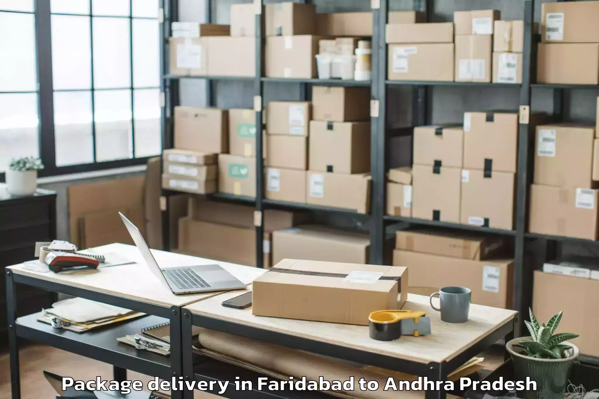 Professional Faridabad to Pellakuru Package Delivery